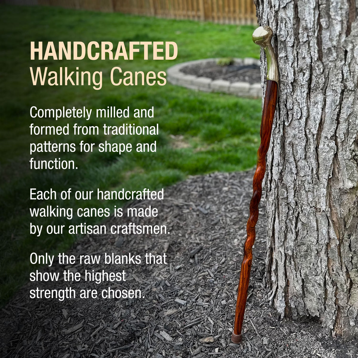 Wooden Hame Top Walking Cane