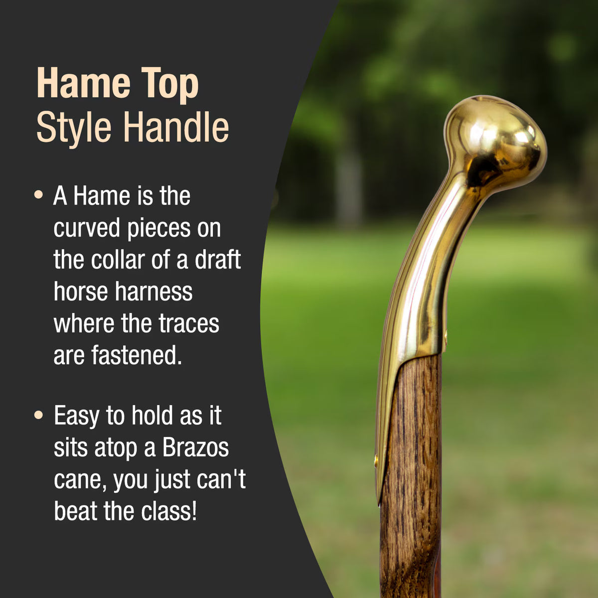 Wooden Hame Top Walking Cane