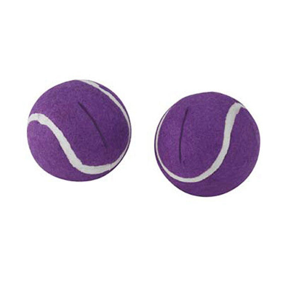 Colorful Walker Ball Glides for Walkers