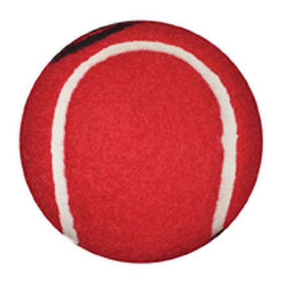 Colorful Walker Ball Glides for Walkers (4)