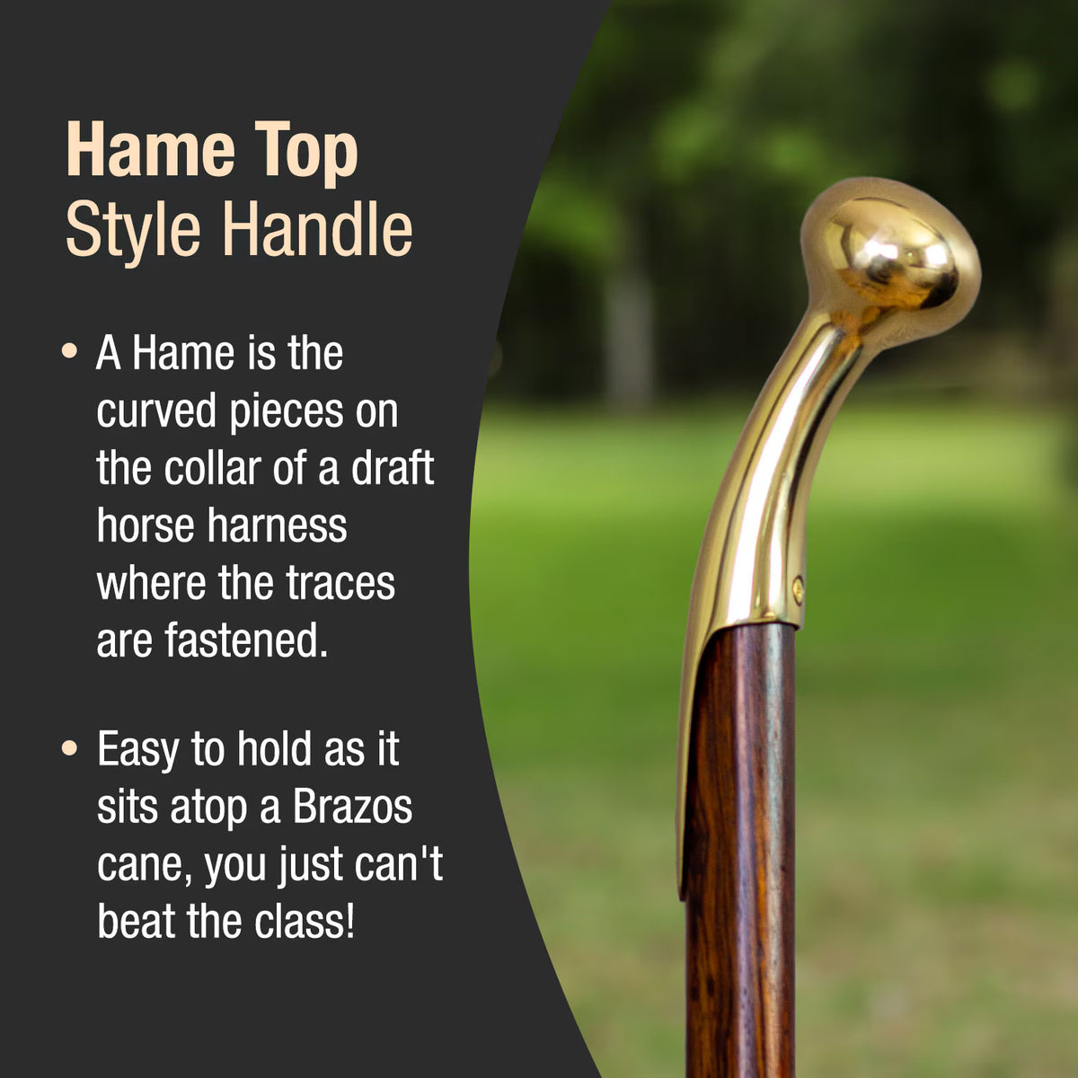 Wooden Hame Top Walking Cane