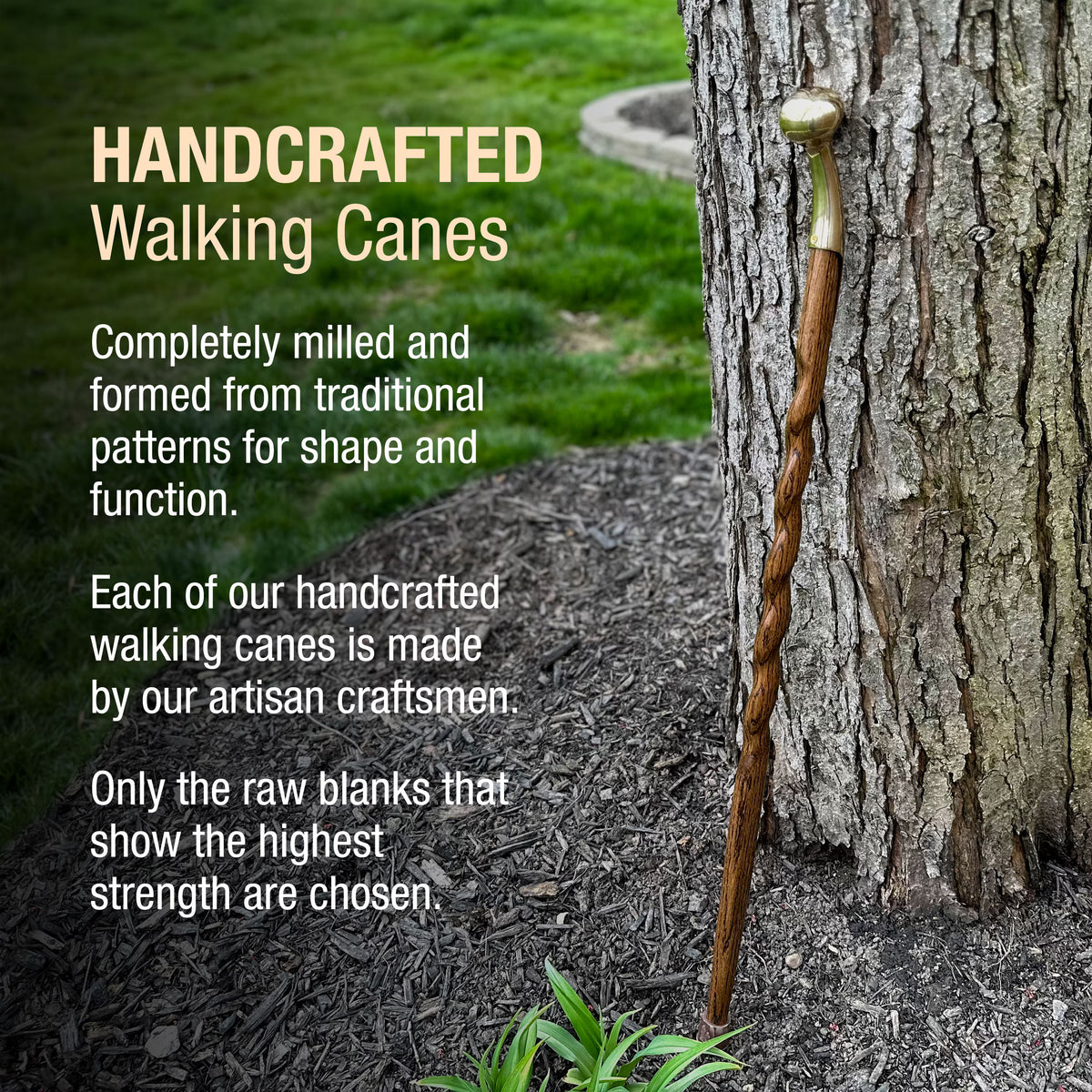 Wooden Hame Top Walking Cane
