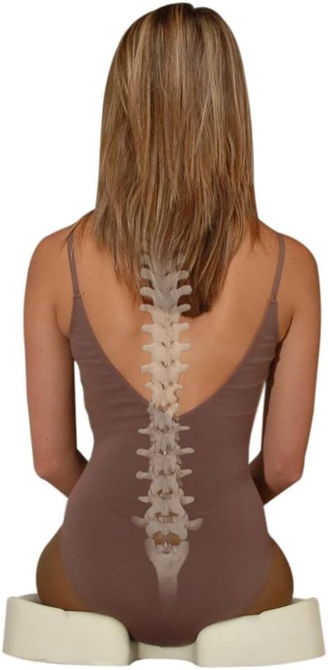 Kabooti Seat Cushion for Coccyx Relief