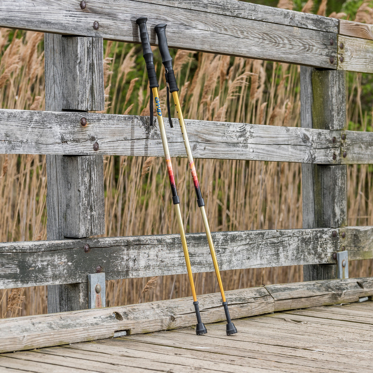 Summit Walking Poles