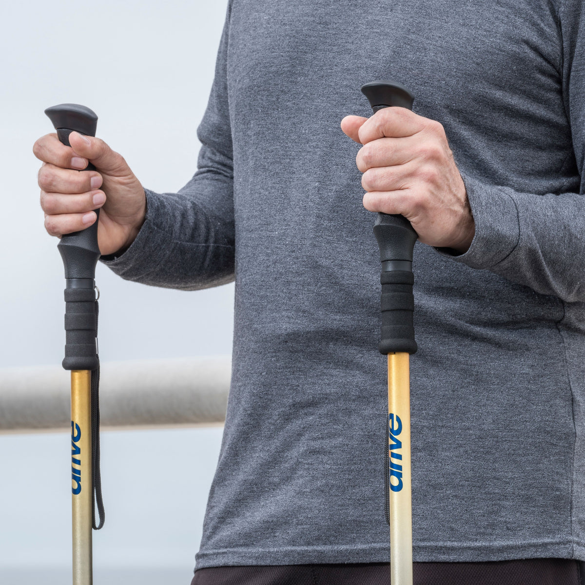 Summit Walking Poles